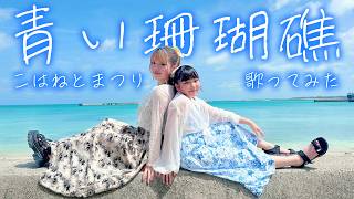 青い珊瑚礁/松田聖子 歌ってみた♪【こはねとまつり】