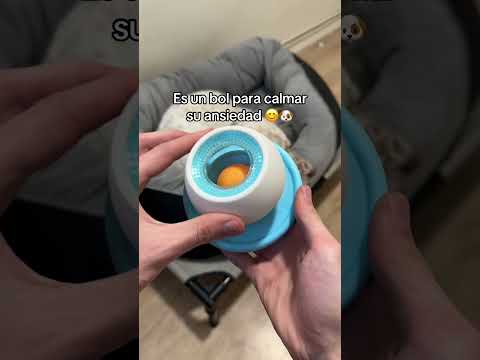 He conseguido calmar su ansiedad gracias a este bol 😊 #perros #perrossanos #perrosfelices