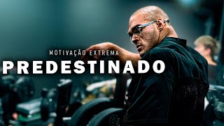 A VIDA NÃO VAI ESPERAR VOCÊ FICAR PRONTO - ASSISTA ISSO AGORA