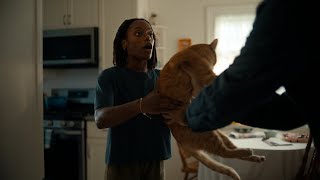New Cat | Chewy Commercial