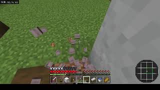 【Minecraft】自作アドオンを入れた世界でサバイバル！【参加歓迎】