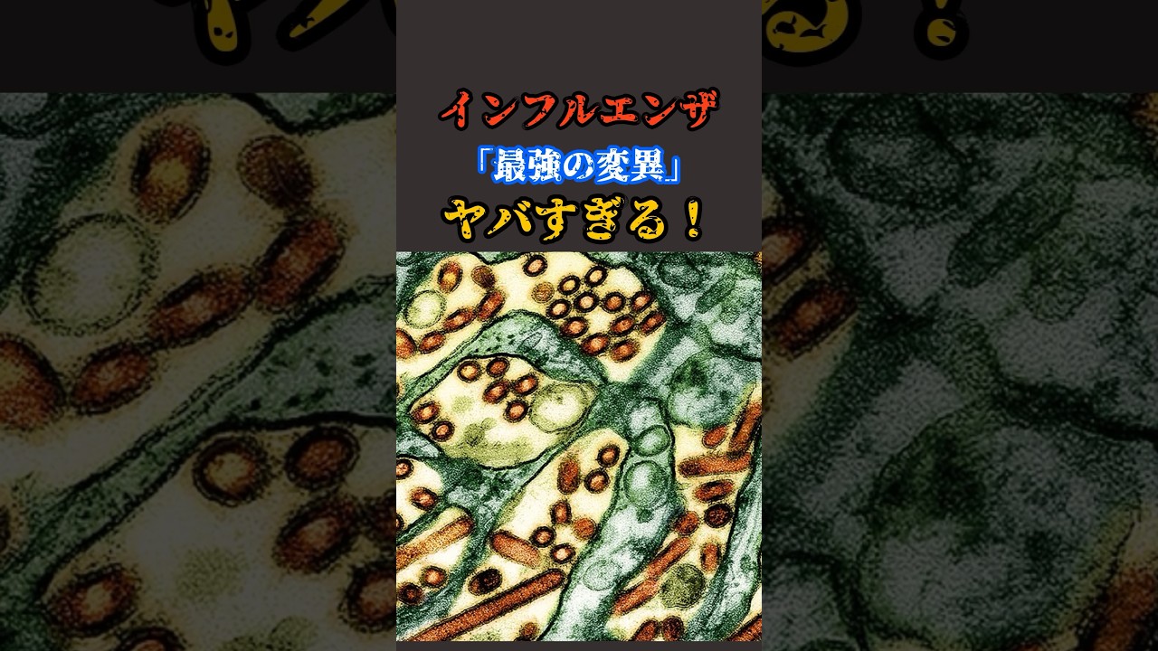 インフルエンザの「最強の変異」がヤバすぎる！#雑学 #Shorts #歴史 #ミステリー
