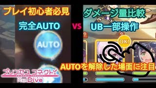 【プリコネR】プリコネR初心者には見て欲しい 完全AUTOとUB一部操作では違う