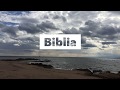 Biblia Ruah