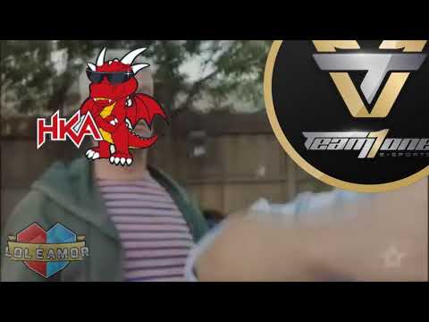 O que passa na cabeça do torcedor da Team one? - Lol é amor