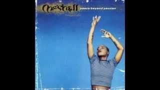 A Tear And A Smile - Me&#39;Shell Ndegeocello