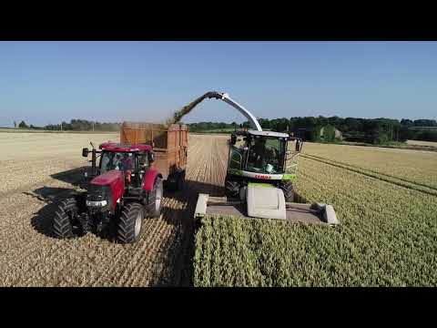 Claas 850 Forager With Direct Disc 520 Wholecrop Header