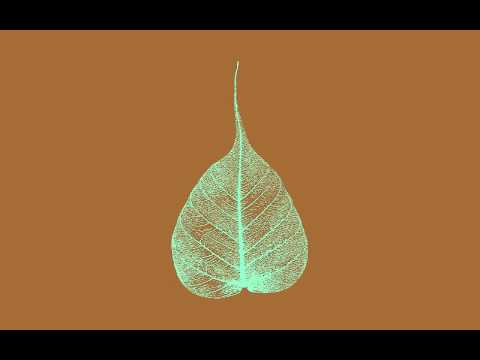 150808 Spycatcher \ \ Thanissaro Bhikkhu \ \ Short Dhamma Talk