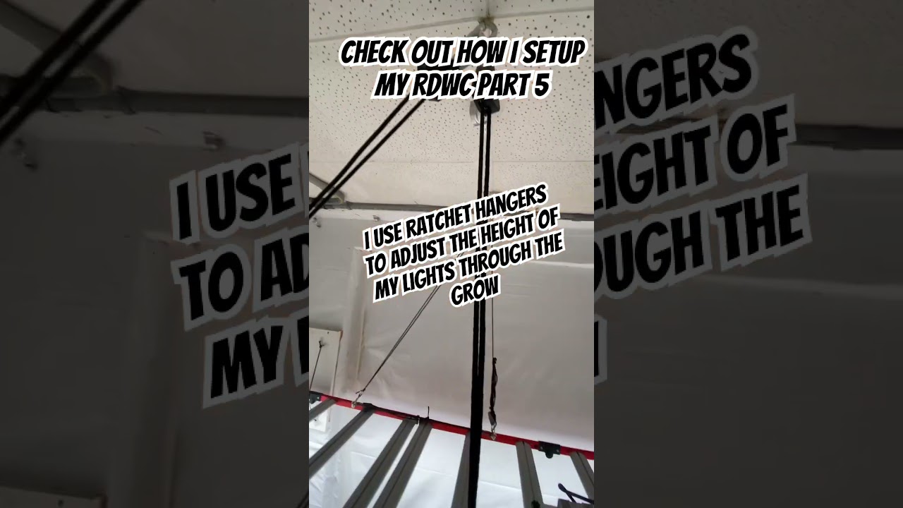 How To Setup RDWC System Part 5