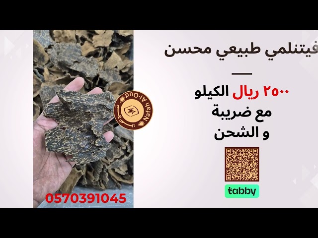 عود الفيتنامي دبل سوبر طبيعي محسن [198]