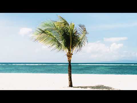 Silvano Del Gado, Paolo Barbato - From Jamaica to Brasil (Paolo Barbato Working Remix)