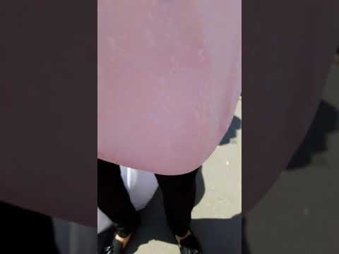 GABI BEC - SISTEM 2020