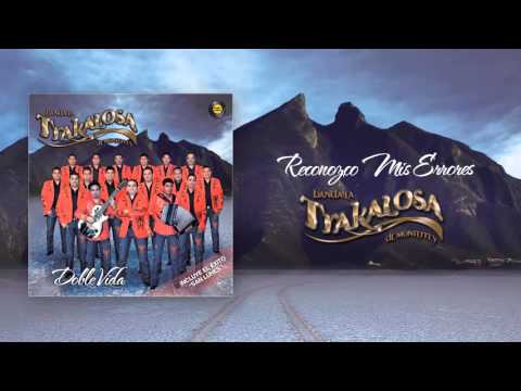 Reconozco Mis Errores - Banda La Trakalosa De Monterrey