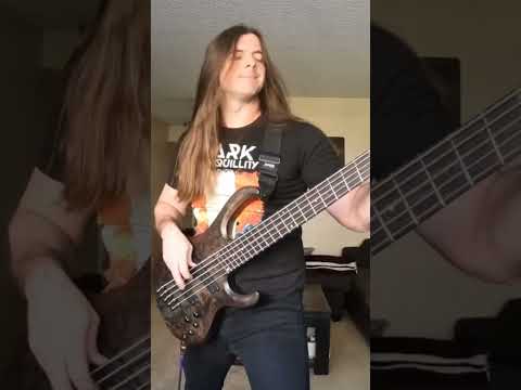 New video: "Heartless" bass playthrough #anubis #metal #thrashmetal #powermetal