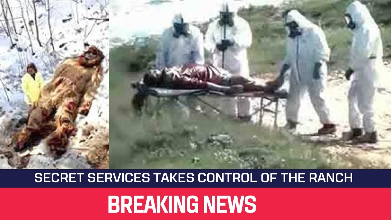 YouTube Thumbnail Downloader FULL HQ IMAGE