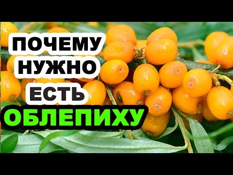 download lagu mp3 mp4 облепиха, download lagu облепиха gratis, unduh video klip облепиха