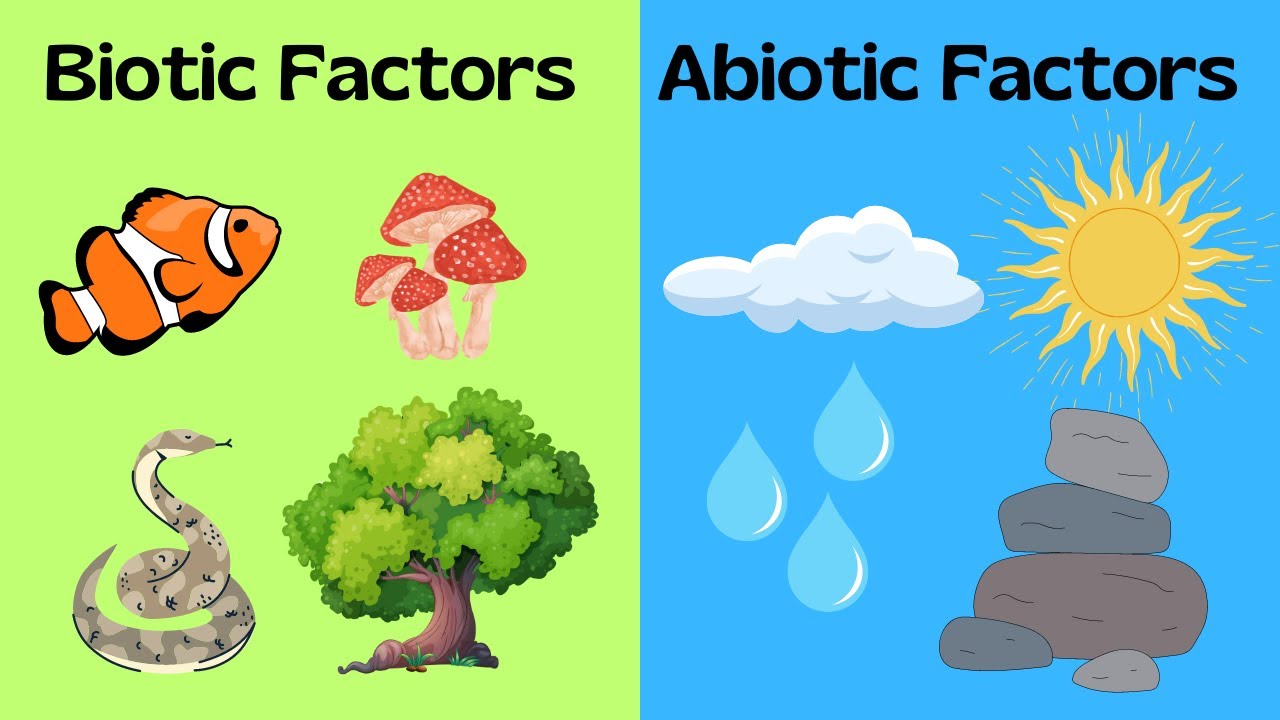 Abiotic factor прохождение Abiotic factor прохождение
