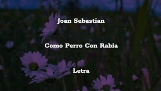 Joan Sebastian • Como Perro Con Rabia • Letra