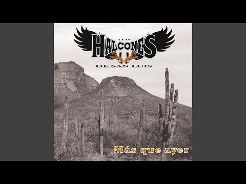 La Voz De La Experiencia