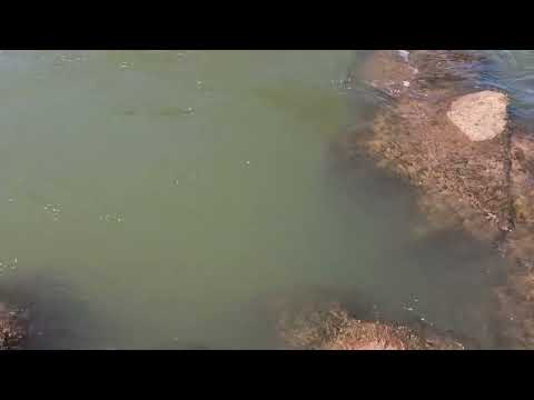 DEPOIS DE ALMOÇAMOS DESCEMOS  NO RIO ARAGUAIA PARA TOMAR BANHO EM TORIXORÉU-MT. 