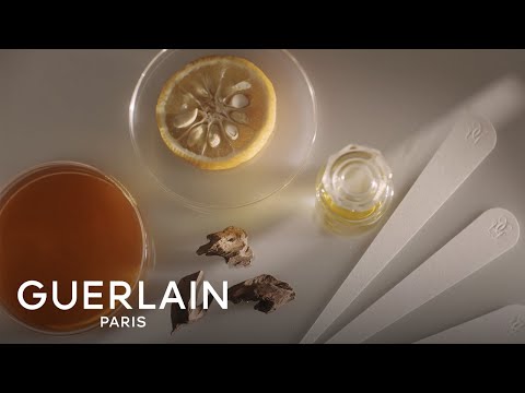 Aqua Allegoria: Oud Yuzu Forte | GUERLAIN