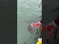 This Was HARD To Witness Fishing Shorts