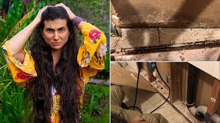 How We Got Rid of Toxic Mold 🦠 Our Remediation Story ⚠️ Natural Tips to Reduce Symptoms