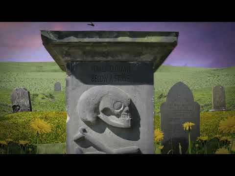 The Decemberists - Burial Ground (Lyric Video)