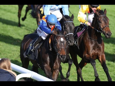 Hannover: Großer Preis des Gestüt Fährhof (Gruppe 3) - Siegerin: Early Morning