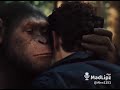 Funny Madlipz Status Video