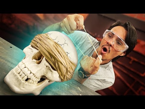 Will Rubber Bands Crush A Skull?! Video