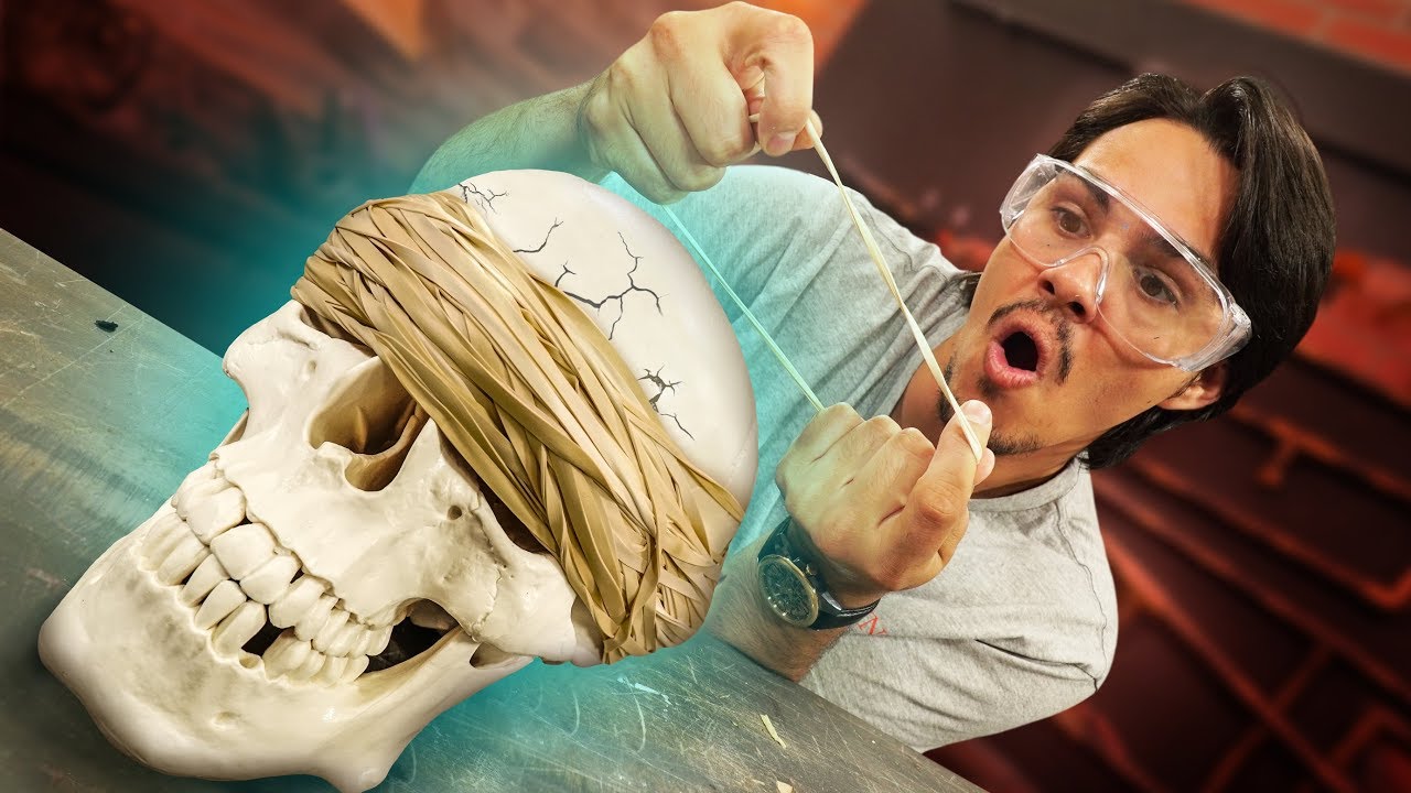 Will Rubber Bands Crush A Skull?!