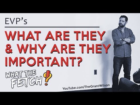 EVP's #1: What Are They & Why Are They Important?