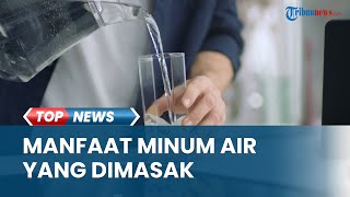 Manfaat Konsumsi Air yang Dimasak, Efektif Jaga Kesehatan Tubuh