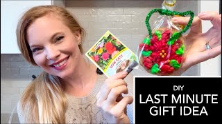 Holidays In The Garden-Gluten Free Garden Gift For Any Holiday, Santa Approved ❤️💚🎅