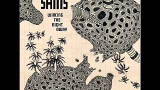 The Shins - A Comet Appears