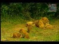 MG Mangas Hugo Safari VHS 1 4 Final