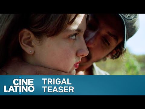 Wheat Field | Teaser | Cinelatino