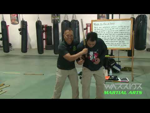 Master Apolo Teaching Lock and Flow Drills Part 7 at Warrior Martial Arts Certification Seminars