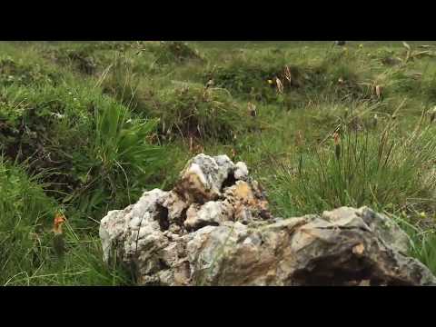 AlpenCross 2016, Tag2 / Ischgl - S-Charl