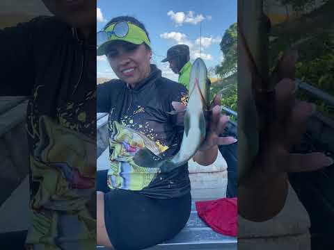 Pescaria em Joselandia MA.     Equipe de pesca da BARBYs