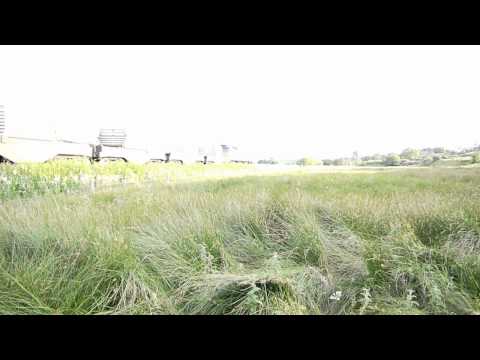 [HD] 57003 & 57007 @ St. Bees on 6C52 Heysham P.S. - Sellafield [29/06/2011]