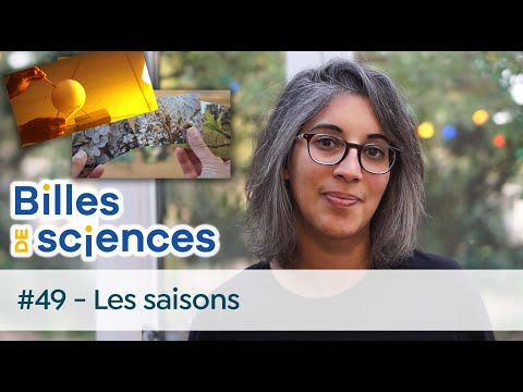 Billes de sciences #49 : Aurélie Froger - Les saisons