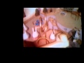 QuickDraw POV Thrillville