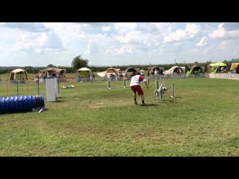 Davor i Elky EO2014 Jumping Individual