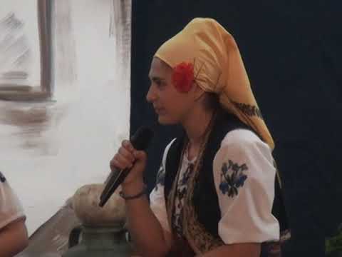 41. Susreti sela 2014. Vidrovac - Čubra 3. deo