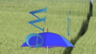 Paper Skai (Red Lorry Yellow Lorry-Heaven)