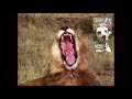 Really Wild Animals 1994 Promo