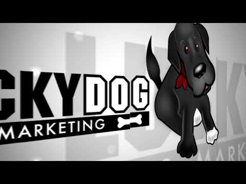 Lucky Dog Marketing video.