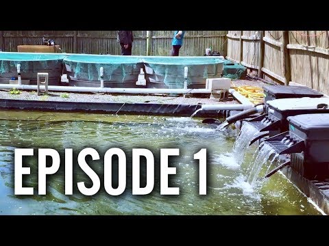 Pond Store Tours - Episode 1 (A Piece of Paradise, RI)